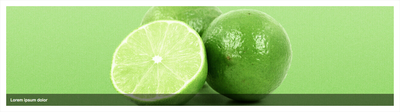 CMS Kategorie-Teaser